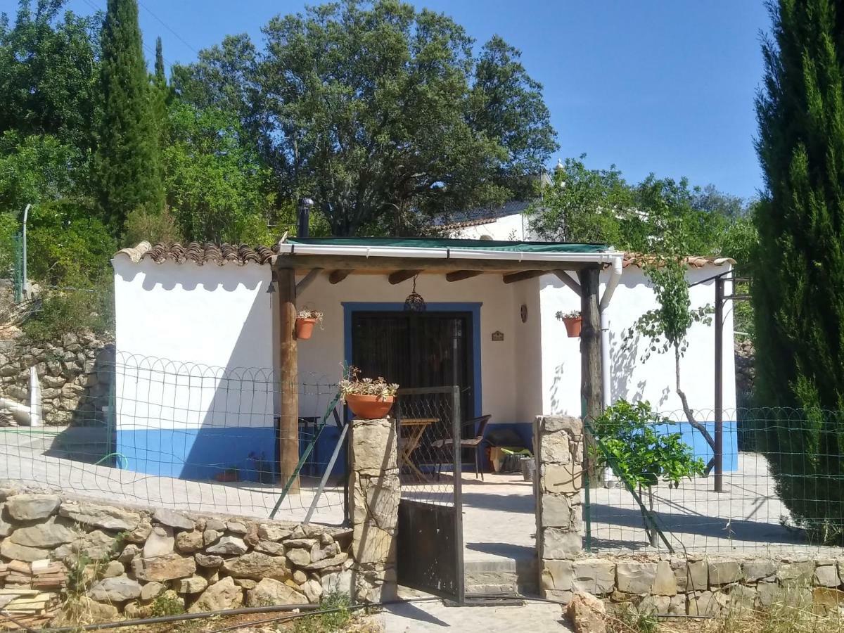 Casinha Do Sul Villa Faro Exteriör bild
